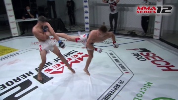 Highlights of the tournament "MMA Series 12: the Time for New Heroes", August 15