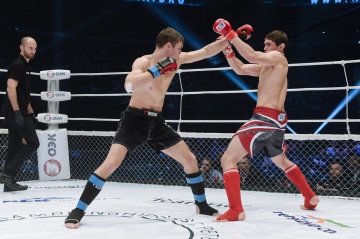 Shamil Musaev vs Michael Ovsjannikov, M-1 Challenge 71